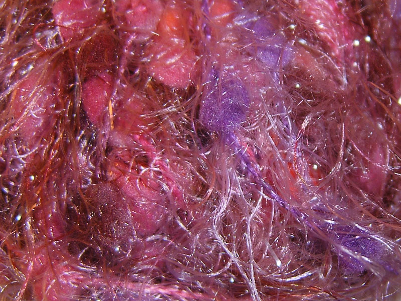 Chili 4438 - Image 1